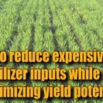 AgriGro Increasing yields for 37 yrs